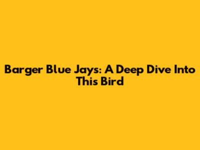 Barger Blue Jays: A Deep Dive Into This Bird