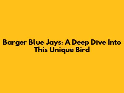 Barger Blue Jays: A Deep Dive Into This Unique Bird