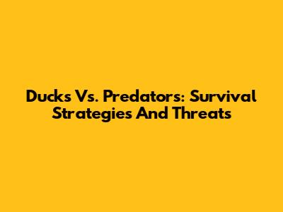 Ducks Vs. Predators: Survival Strategies And Threats