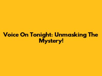 Voice On Tonight: Unmasking The Mystery!